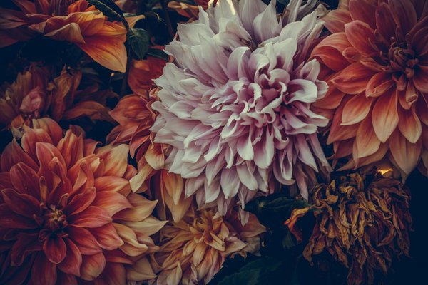 Valoriser sa maison à dunkerque grâce à une isolation extérieure performante